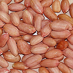 ������ ���������