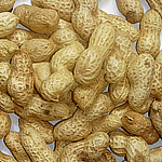 ������ �&nbsp;��������