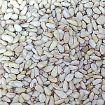 �������� ����