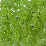 ������ ������ (�������)